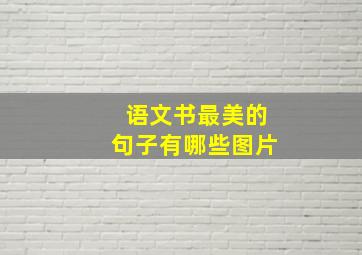 语文书最美的句子有哪些图片