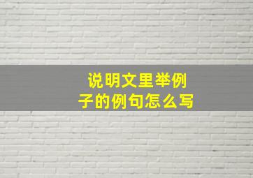 说明文里举例子的例句怎么写