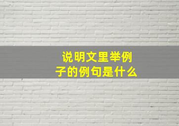 说明文里举例子的例句是什么