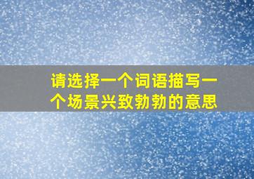 请选择一个词语描写一个场景兴致勃勃的意思