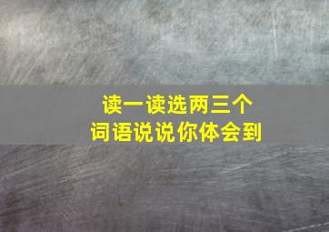 读一读选两三个词语说说你体会到