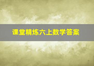 课堂精炼六上数学答案