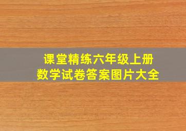 课堂精练六年级上册数学试卷答案图片大全