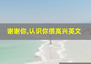 谢谢你,认识你很高兴英文