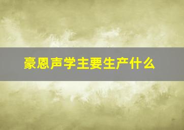 豪恩声学主要生产什么