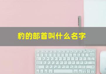 豹的部首叫什么名字