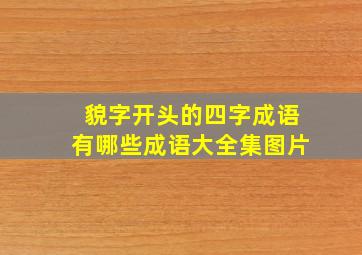 貌字开头的四字成语有哪些成语大全集图片