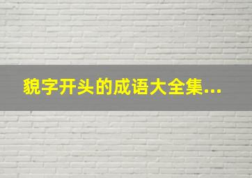 貌字开头的成语大全集...