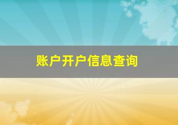 账户开户信息查询