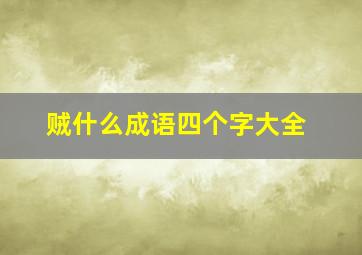 贼什么成语四个字大全