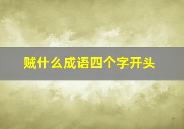 贼什么成语四个字开头