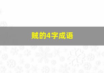 贼的4字成语