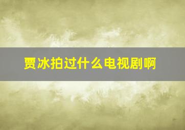 贾冰拍过什么电视剧啊