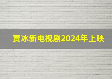 贾冰新电视剧2024年上映