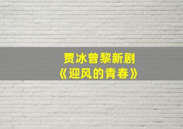 贾冰曾黎新剧《迎风的青春》