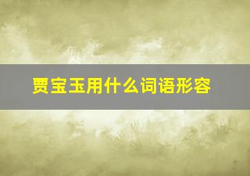 贾宝玉用什么词语形容