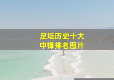 足坛历史十大中锋排名图片