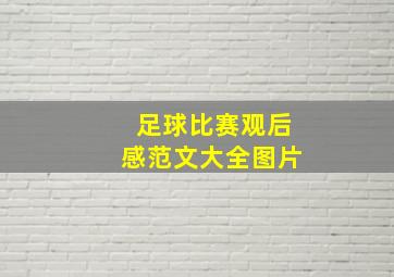 足球比赛观后感范文大全图片