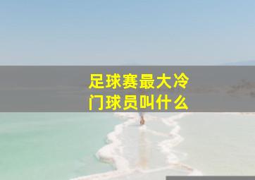 足球赛最大冷门球员叫什么