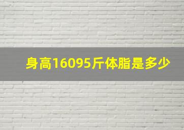 身高16095斤体脂是多少