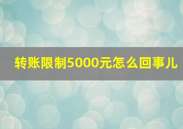 转账限制5000元怎么回事儿