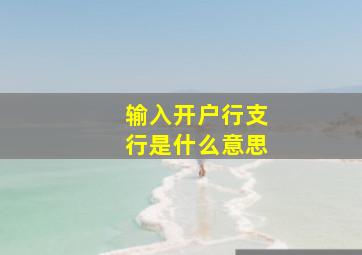 输入开户行支行是什么意思