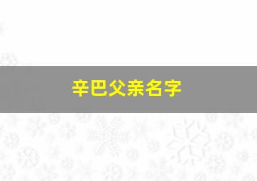 辛巴父亲名字