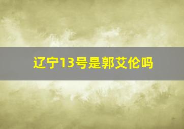 辽宁13号是郭艾伦吗