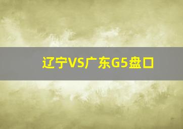 辽宁VS广东G5盘口