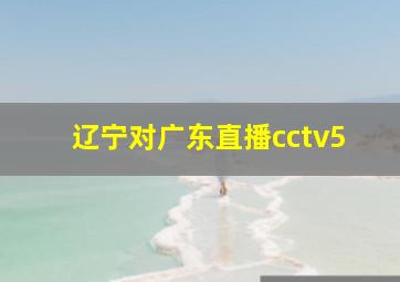 辽宁对广东直播cctv5