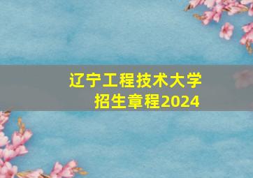 辽宁工程技术大学招生章程2024