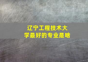 辽宁工程技术大学最好的专业是啥