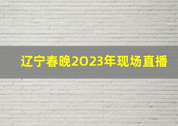 辽宁春晚2O23年现场直播