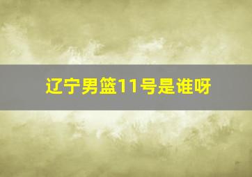 辽宁男篮11号是谁呀