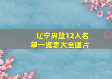 辽宁男篮12人名单一览表大全图片