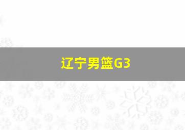 辽宁男篮G3