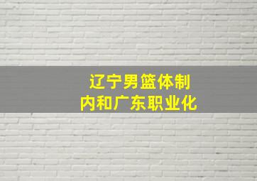 辽宁男篮体制内和广东职业化