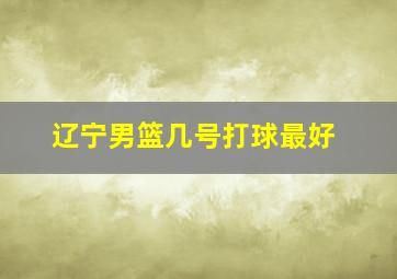 辽宁男篮几号打球最好