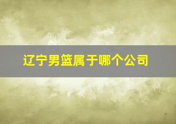 辽宁男篮属于哪个公司