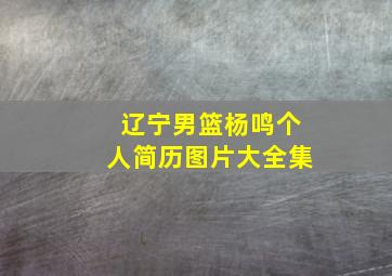 辽宁男篮杨鸣个人简历图片大全集