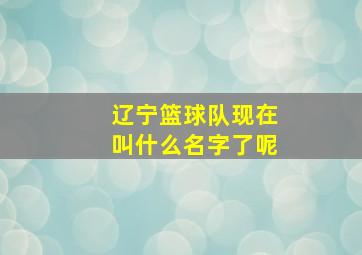 辽宁篮球队现在叫什么名字了呢