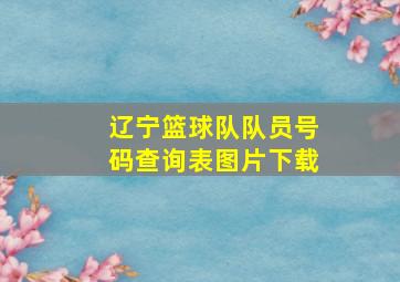 辽宁篮球队队员号码查询表图片下载