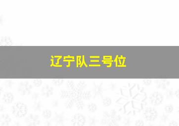 辽宁队三号位