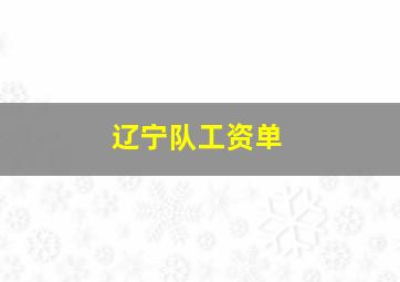 辽宁队工资单