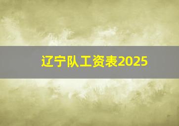 辽宁队工资表2025