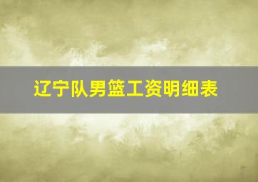 辽宁队男篮工资明细表