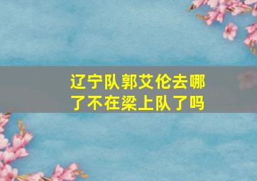 辽宁队郭艾伦去哪了不在梁上队了吗