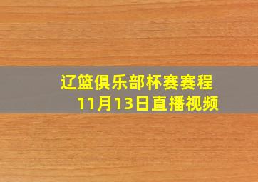 辽篮俱乐部杯赛赛程11月13日直播视频