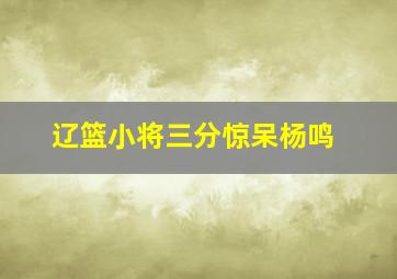 辽篮小将三分惊呆杨鸣