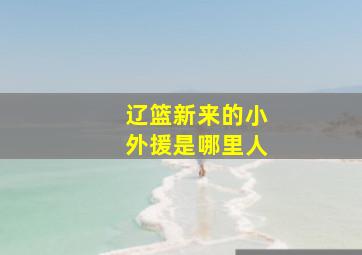 辽篮新来的小外援是哪里人